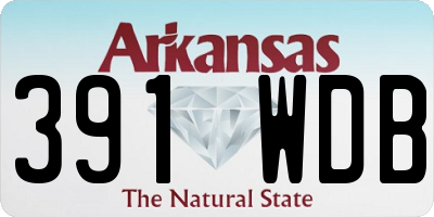 AR license plate 391WDB