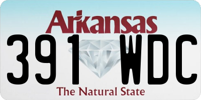 AR license plate 391WDC