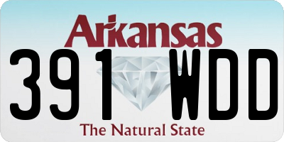 AR license plate 391WDD