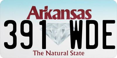 AR license plate 391WDE