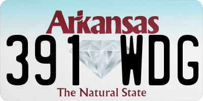 AR license plate 391WDG