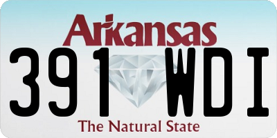 AR license plate 391WDI