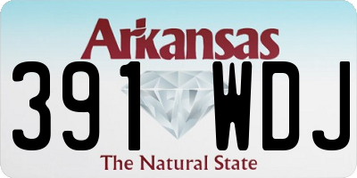 AR license plate 391WDJ
