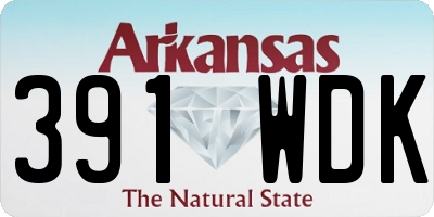 AR license plate 391WDK
