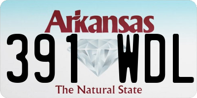 AR license plate 391WDL
