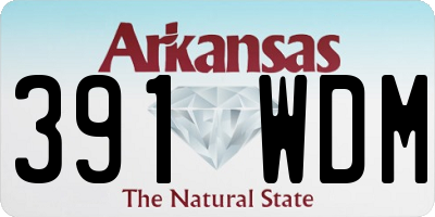 AR license plate 391WDM
