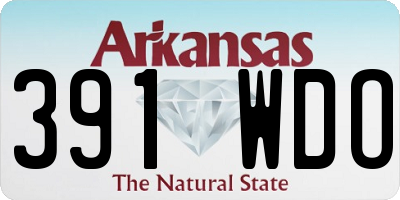 AR license plate 391WDO