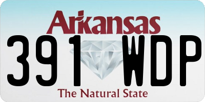 AR license plate 391WDP