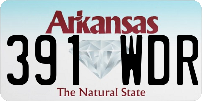 AR license plate 391WDR