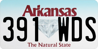 AR license plate 391WDS