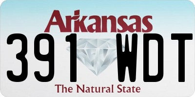 AR license plate 391WDT