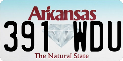 AR license plate 391WDU