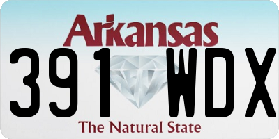 AR license plate 391WDX