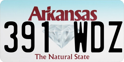 AR license plate 391WDZ