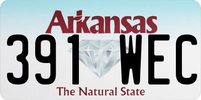 AR license plate 391WEC