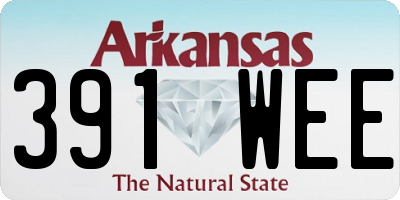 AR license plate 391WEE