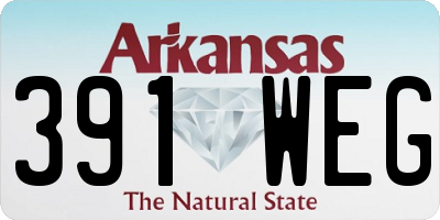 AR license plate 391WEG