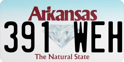 AR license plate 391WEH