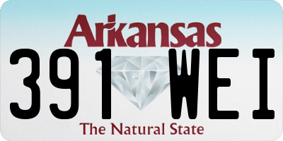 AR license plate 391WEI