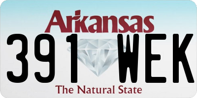 AR license plate 391WEK