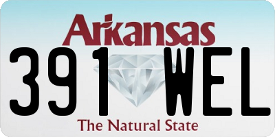 AR license plate 391WEL