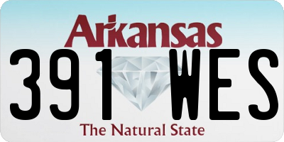 AR license plate 391WES