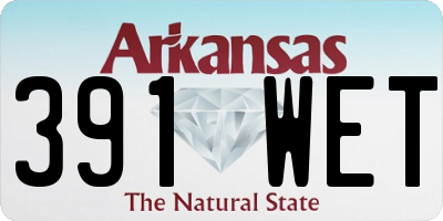 AR license plate 391WET