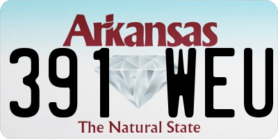 AR license plate 391WEU