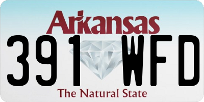 AR license plate 391WFD