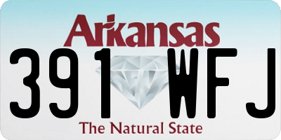 AR license plate 391WFJ