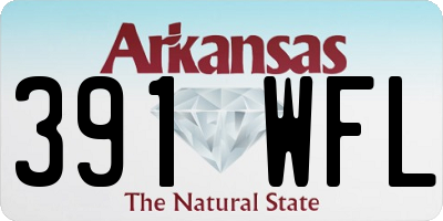 AR license plate 391WFL