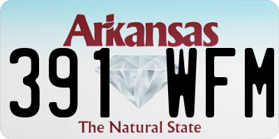 AR license plate 391WFM