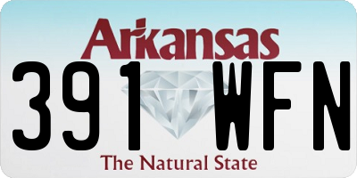 AR license plate 391WFN