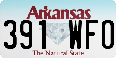 AR license plate 391WFO