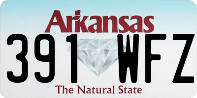 AR license plate 391WFZ