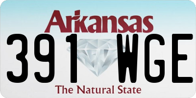 AR license plate 391WGE