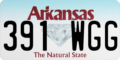 AR license plate 391WGG