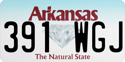 AR license plate 391WGJ