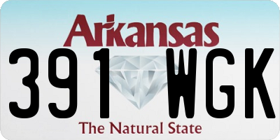 AR license plate 391WGK
