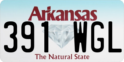 AR license plate 391WGL