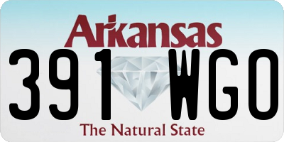 AR license plate 391WGO
