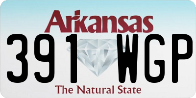 AR license plate 391WGP