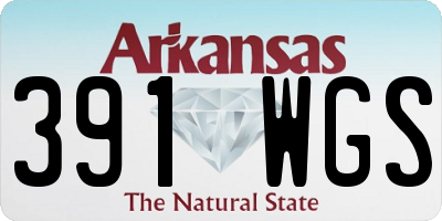 AR license plate 391WGS