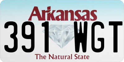 AR license plate 391WGT