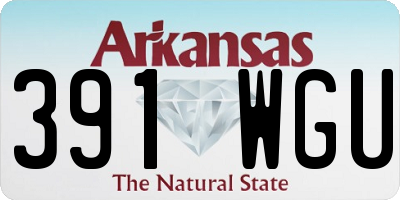 AR license plate 391WGU