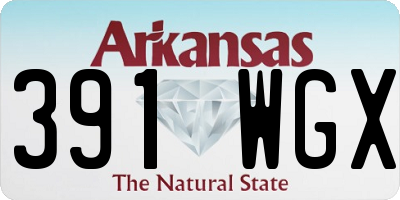 AR license plate 391WGX