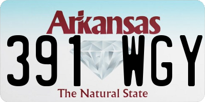 AR license plate 391WGY