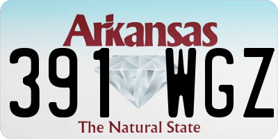 AR license plate 391WGZ