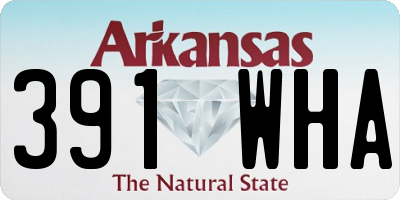 AR license plate 391WHA