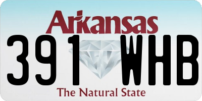 AR license plate 391WHB